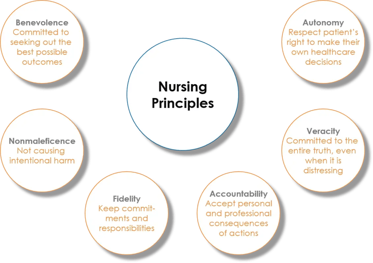 NursingPrinciples